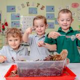 Aspen Academy Photo - PreK students learning about science and nature with a classroom worm bin.