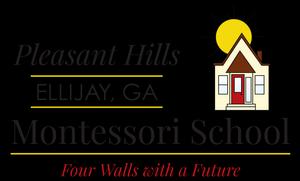 Pleasant Hills Montessori School Photo