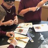 St. Joseph Regional Continuation School Photo #10 - Grade 7 students get hands-on experience in Science class!