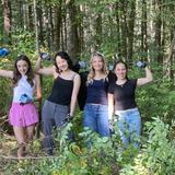 The Montessori School of the Berkshires Photo #3 - Adolescent students removing invasive plants and clearing trails!