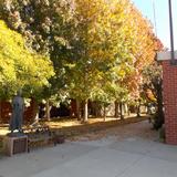 St. Maria Goretti Elementary School Photo #2 - Fall is happening at St. Maria Goretti School. SMG is fortunate to have trees that change color during the seasons of the year.
