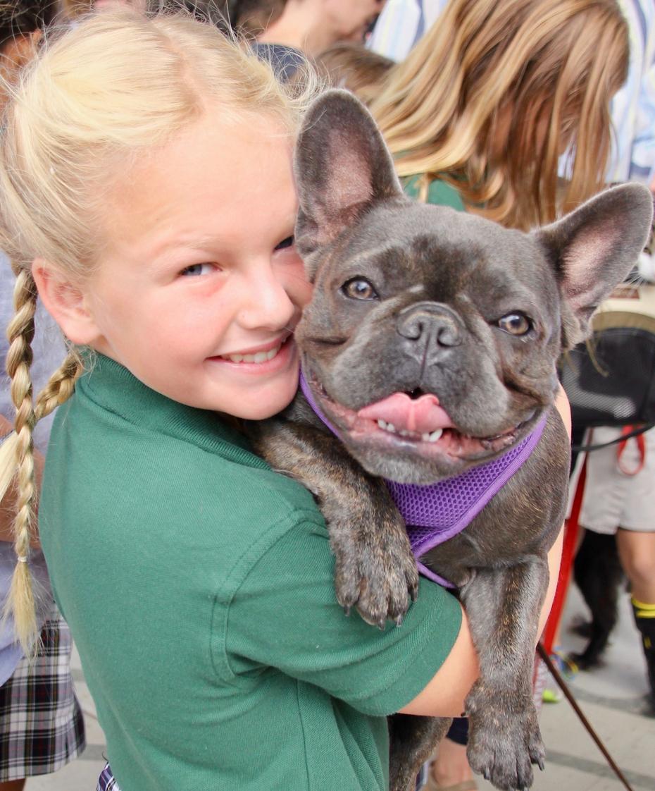 st patricks episcopal day school open house