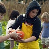 Summerfield Waldorf School & Farm Photo #8 - We are the only school in California to integrate a 6-acre working Biodynamic farm into our daily school curriculum.