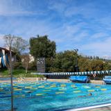 The Webb Schools Photo #13 - McCarthy Aquatics Center is home to Webb's swimming, diving, and water polo teams. We've hosted the USA Men's Water Polo Team for practice!