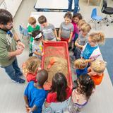 The Willows Community School Photo #7