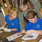 Zion Lutheran School Photo #4 - Dissecting owl pellets.