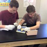 Brighton Adventist Academy Photo #7 - High School Biology Lab