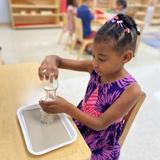 International Montessori School Photo #6 - A child works on pouring grains, developing fine motor skills and concentration.