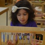 International Montessori School Photo - A 3 year old IMS student looking at bead representations of the numbers 11-19.