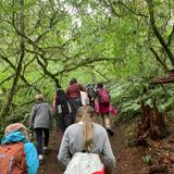 Puddletown Montessori School Photo #3 - Outdoor School for Elementary and Middle School