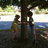 Puddletown School Photo #3 - fun by the climbing tree