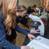 Cedar Tree Classical Christian School Photo #8