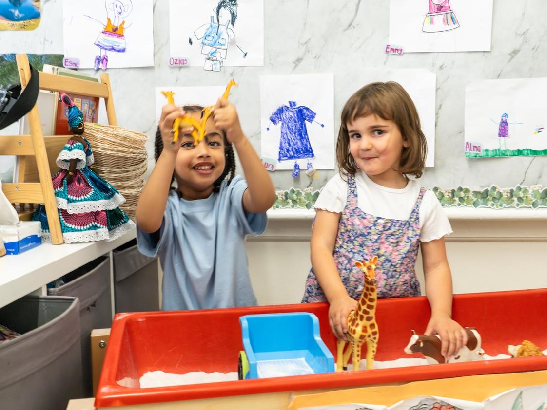 International School Of Brooklyn Photo #1 - Our youngest students learn through inquiry and play in light-filled, welcoming classrooms.