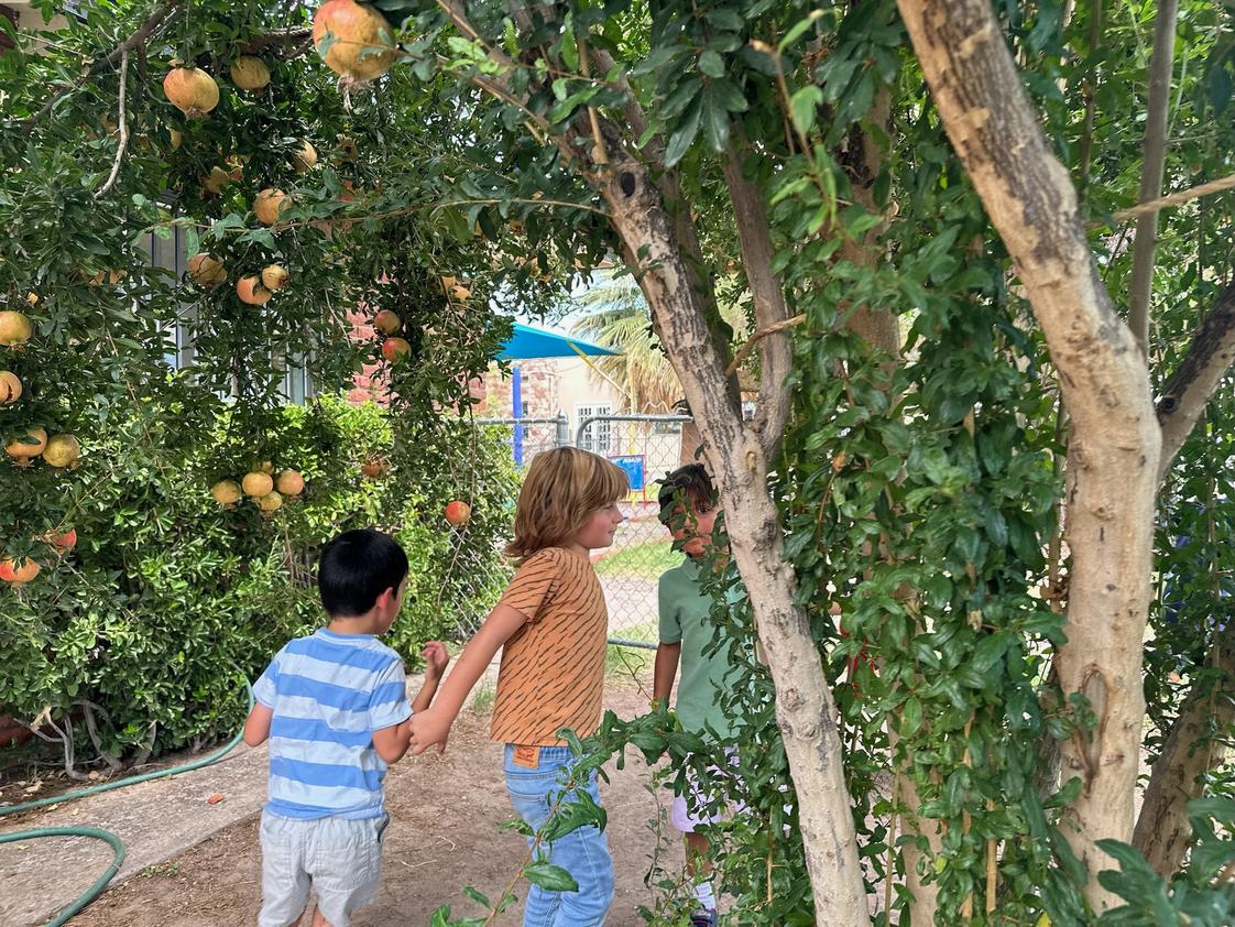 Mountain West Montessori Photo #1 - Children spend time in nature. They enjoy the garden and the pecan orchard as well as taking care of our chickens. Playing outside in nature is key for development, we love this part of our school.