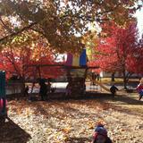 Monarch Montessori School Photo #1 - A crisp Fall day on the playground