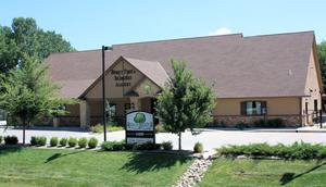 Honey Tree And Branches Academy Photo