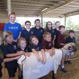 Grace Covenant Baptist Academy Photo #3 - Farms animals are always interesting.