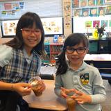 St. Andrew Catholic School Photo - 1st and 4th graders celebrate Johnny Appleseed day by making applesauce!