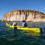 The Link School Photo #7 - Sea kayaking in Baja, Mexico on The Link School's annual abroad trip.