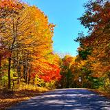 Trinity School Photo #4 - The path is clear and full of promise. Explore our campus and see where your child's journey will lead.