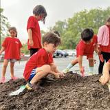 BASIS Independent McLean Photo #11 - From storytelling to team sports, collaborative games to planting tulips in the school garden, our Lower School students strengthened their bonds on Community Day!