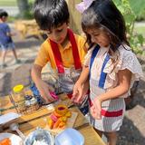 Indiana Montessori Academy Photo - Baking a Peach Galette while working in the Learning Gardens.