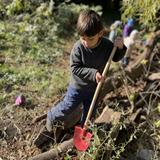 New Amsterdam School Photo #2 - Working in the garden