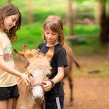 The Garden School of Marietta Photo #5