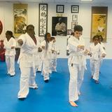 South Florida School of Excellence Photo #2 - School's incorporates all the protocol and discipline of a more traditional martial arts studio, but in a unique and fun manner for our students. The physical benefits are profound, as children practice kicking, punching, blocking, yelling, stretching, running and jumping during each interactive class. The program is progressive, using belt promotions as the strong motivator.