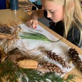 Peconic Community School Photo #5 - PCS students engage in a project-based unit of study each trimester that provides the basis for an integrated, immersive and emergent curriculum. Here, a 5th grade student examines native tree specimens during a recent Arboriculture unit.