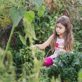 Prairie School of DuPage Photo #7 - A student observes the plants in the school garden.