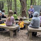 City Garden School Photo #8 - Join us as we escape the traditional classroom and discover endless possibilities for learning under the open sky in the peace of the woods.