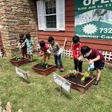 Windsor Montessori School Photo #3 - Summer Gardening