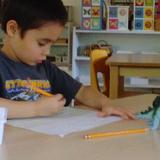 Montessori School at Lone Tree Photo #5 - Dinosaurs are part of our science curriculum every fall.