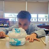 St. Luke Catholic School Photo #6 - Making rain clouds? Such fun it is to learn Science at St. Luke school!