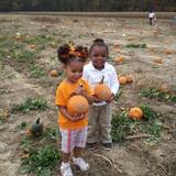 Dover Montessori Country Day Academy Photo #2 - Picking the perfect pumpkins on a field trip to Loblolly Acres