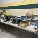 Holy Cross School Photo #10 - 5th Grade Ecosystem Projects!