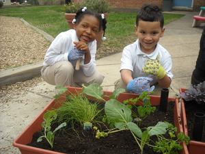 St. Michaels School & Nursery Inc Photo St. Michaels School & Nursery Inc Photo