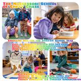 Montessori School Of Chevy Chase Photo - We love our school!