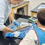 Aesa Prep Academy Photo #24