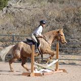Kolob Canyon Rtc Photo #9 - Students at Kolob ride on a weekly basis. Students are taught the Hunter/Jumper English style of riding. Students compete a local horse shows during the spring, summer and fall months.