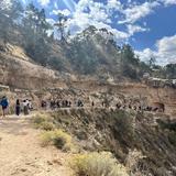 EF Academy Pasadena Photo #2 - Our annual immersion trip took our grade 12 students to explore the Grand Canyon!