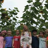 Blooming Grove Montessori Photo #5