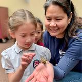 Stratford School Pleasanton Lower School Campus Photo #4