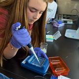 Millennium School Of San Francisco Photo #3 - STEM & Humanities Quests are the cornerstone of our academic program.
