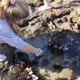 Terra Marin School Photo #7 - Outdoor learning is explored nearby at beaches, mountains, and plains.