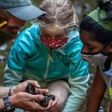 Terra Marin School Photo #2 - A glimpse of our educational outdoor program.