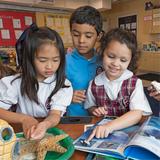 Stratford School Milpitas Corning Photo