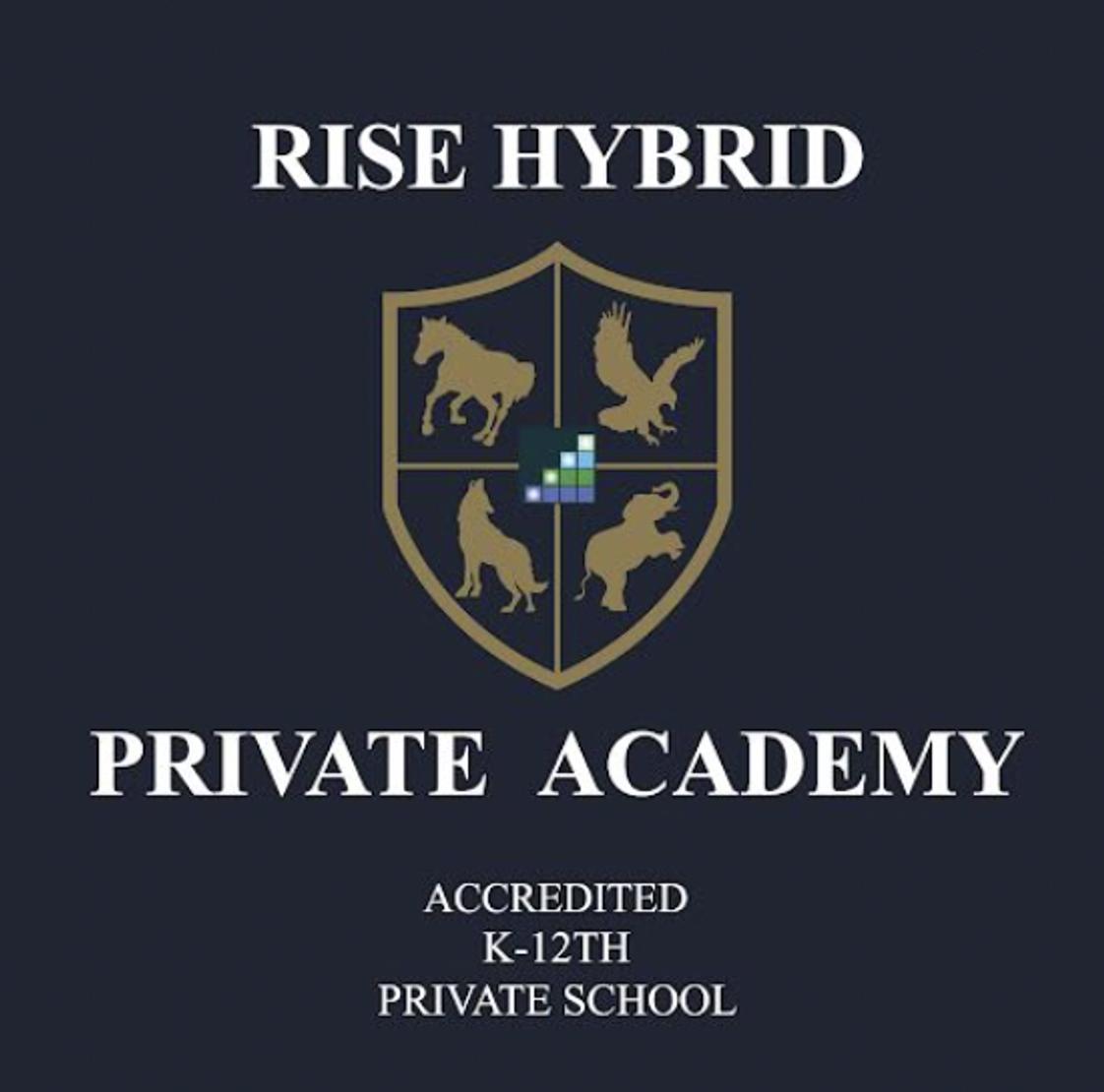 Rise Hybrid Private Academy Photo #0