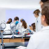 LIH International School of Houston Photo #4 - Young scientists explore hands-on chemistry experiments during a dynamic STEAM class, developing critical thinking and a love for discovery